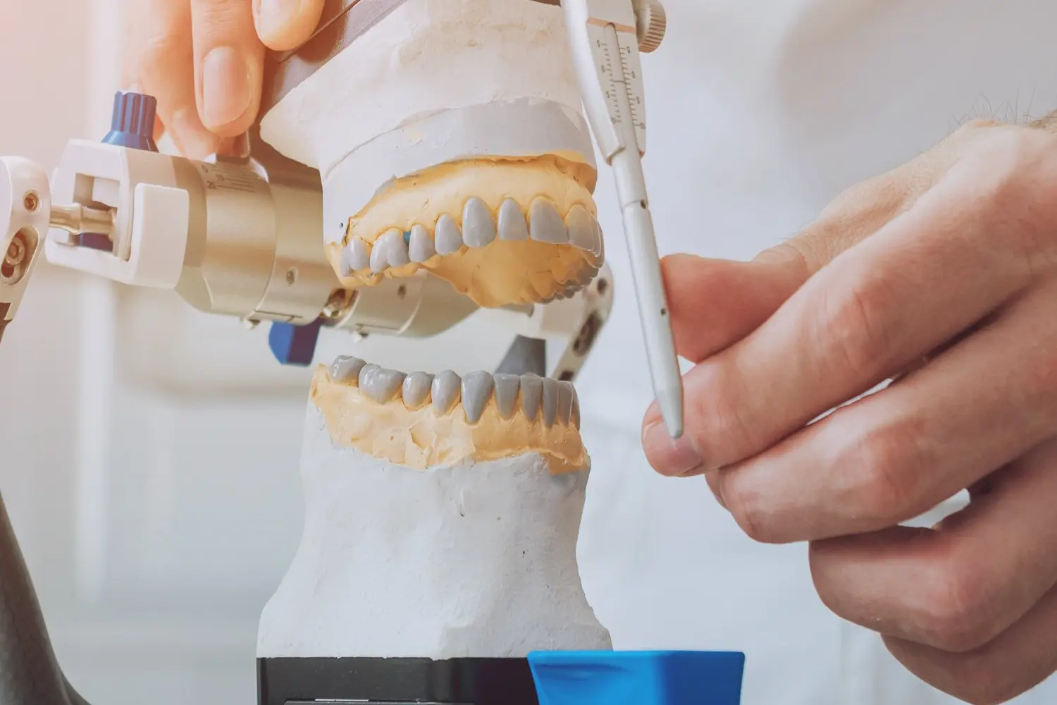 AdobeStock_173544324 (1)